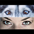 nickkita (Nikki) free OnlyFans Leaked Content 

 profile picture