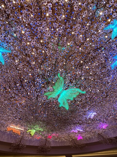 Header of nickygreyy