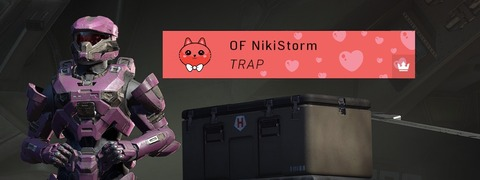 Header of nikistorm