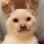 Download noonz OnlyFans leaks for free 

 profile picture