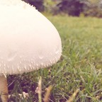 novasnack OnlyFans Leaks 

 profile picture