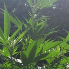 Free access to @oss10001110101 Leaks OnlyFans 

 profile picture