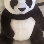 Onlyfans leaks pandasticpron 

 profile picture