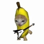 pedra (Pedra) free OnlyFans Leaked Content 

 profile picture