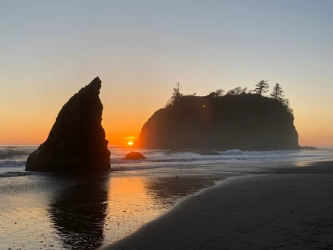 Header of peekingonjemma