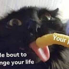 penguinhoe OnlyFans Leaks 

 profile picture