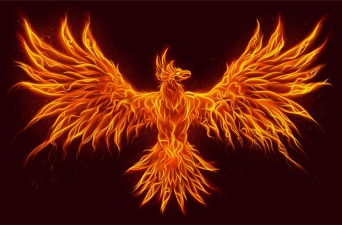 Header of phoenix5618