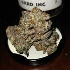 pimpinaintez32 (PimpinaintEz) OnlyFans Leaked Pictures and Videos 

 profile picture