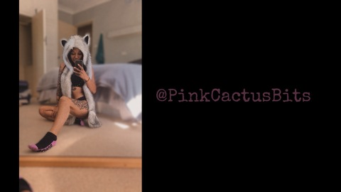 Header of pinkcactusbits