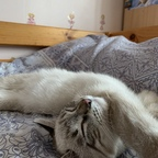 Onlyfans leaked pisike 

 profile picture