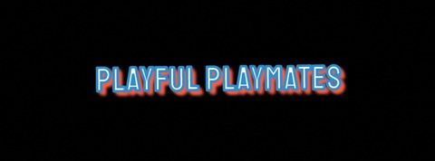 Header of playful_playmates