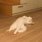 pnt100943 OnlyFans Leak 

 profile picture