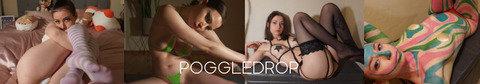 Header of poggledropfree