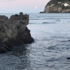 Download poppy-r OnlyFans content for free 

 profile picture