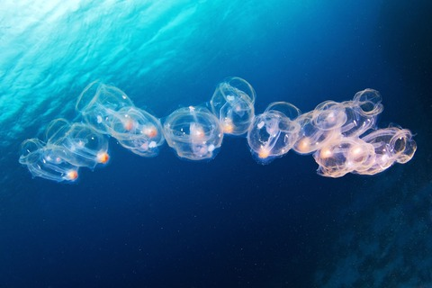 Header of public_exhib