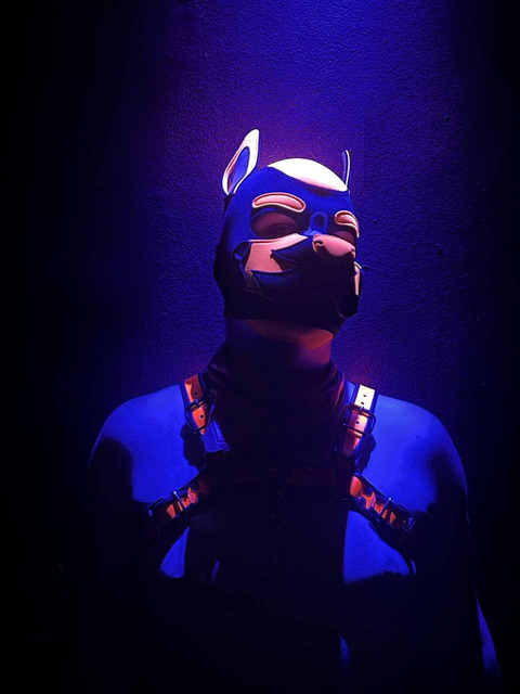 Header of pup_quentin