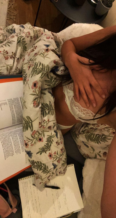 Header of pusswithboots