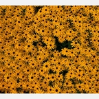 Download rainminina OnlyFans leaks for free 

 profile picture