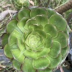 Download ravebaexxx OnlyFans content for free 

 profile picture