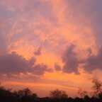 redwitch56 (Dreamgirl Montana) OnlyFans Leaks 

 profile picture