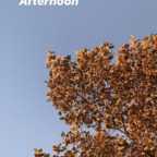 Robin @robinbird Leaked OnlyFans 

 profile picture