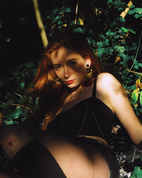 Header of robinwithredhair