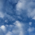 Onlyfans leak roseparks 

 profile picture