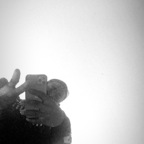 Download rush4meluv OnlyFans leaks for free 

 profile picture