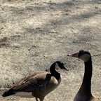 saintkatwitchhazel OnlyFans Leaks 

 profile picture