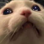 Free access to samsalemm Leaks OnlyFans 

 profile picture