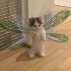 Onlyfans leak sanrioh0e 

 profile picture