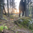 scarlettnight66 OnlyFans Leaked Photos and Videos 

 profile picture