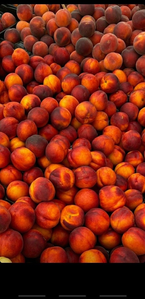 Header of secretdevil