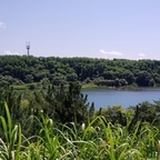 shiba OnlyFans Leaks 

 profile picture