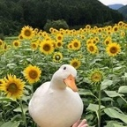 Randy95 shyred Leak OnlyFans 

 profile picture