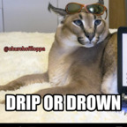 slabdabs710 (CH92) OnlyFans Leaked Content 

 profile picture