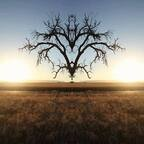 slumerica OnlyFans Leaked 

 profile picture