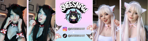 Header of sneesnaw