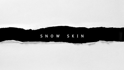 Header of snowxskin