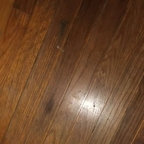 Free access to @sonialove Leaks OnlyFans 

 profile picture