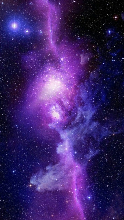 Header of sophiajovanni