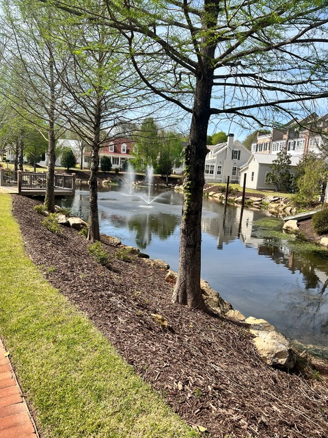 Header of southernbell12