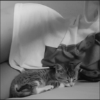 Onlyfans leaked sssssam 

 profile picture