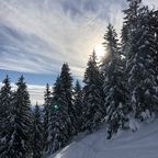 Onlyfans leaks steeph 

 profile picture