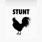 Stuntcock @stunttcock Leaks OnlyFans 

 profile picture