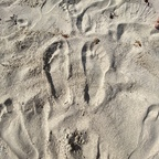 Free access to (superfeet2121) Leaked OnlyFans 

 profile picture