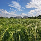 sweet_kent (@sweet_kent) Leaked OnlyFans 

 profile picture