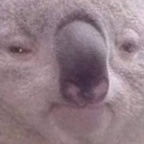 tacomaster420 OnlyFans Leak 

 profile picture