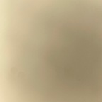 Onlyfans leaks tashathrasher01 

 profile picture