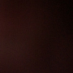 ray (@tattercann) Leaks OnlyFans 

 profile picture